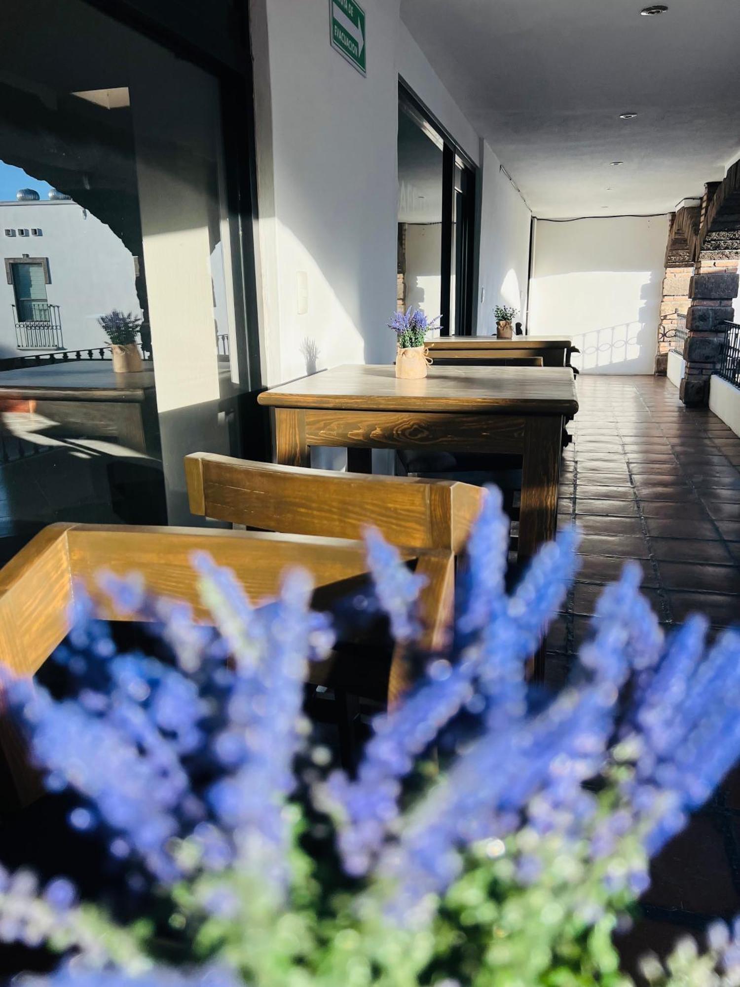 Qa Hotel San Luis Potosí Kültér fotó
